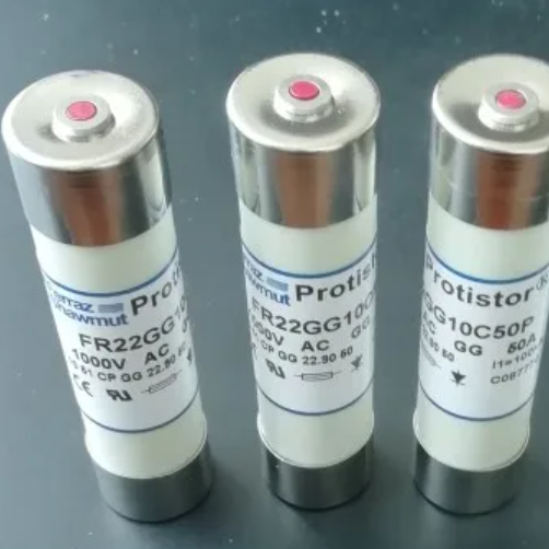 Mersen FR22GG10C50P 1051 CP GG 22,90 50 1000VAC GG 50A C087770 Sicherungen (20 Stück)