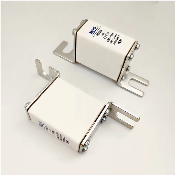 MRO RGS30A 800V 160A Fuses (10 Pieces)